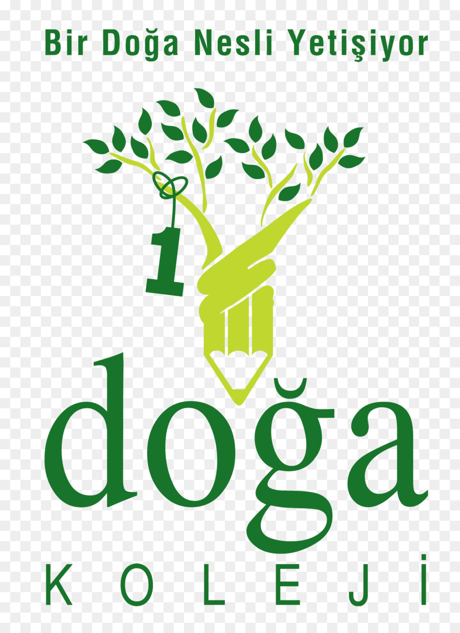 Doğa المدارس，كلية PNG