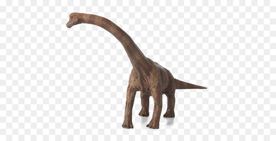 برااشيسورس，ديناصور PNG