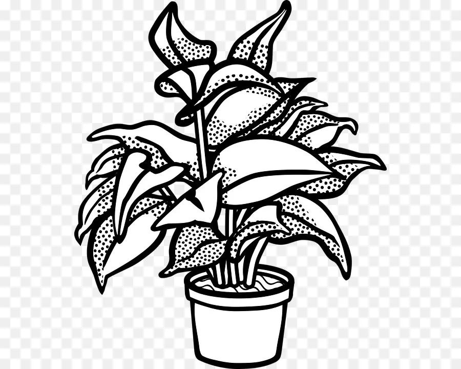 ل Houseplant，زهور PNG