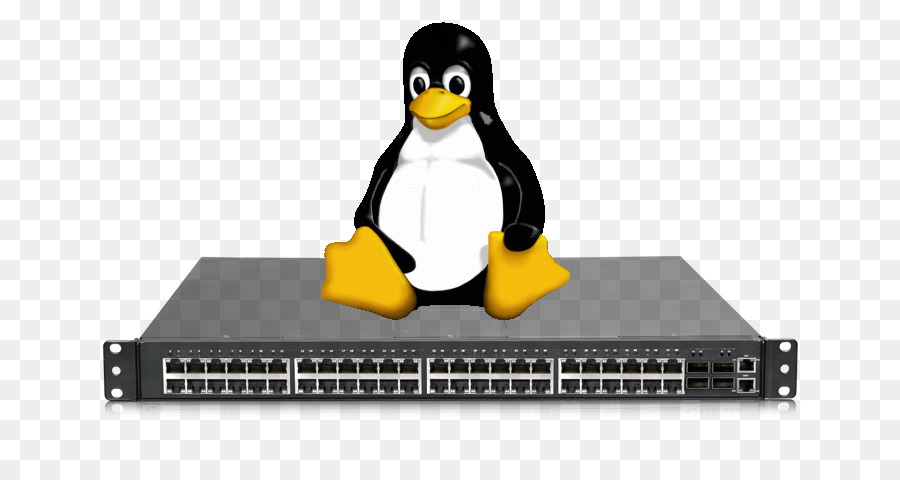Linux，شبكة الكمبيوتر PNG