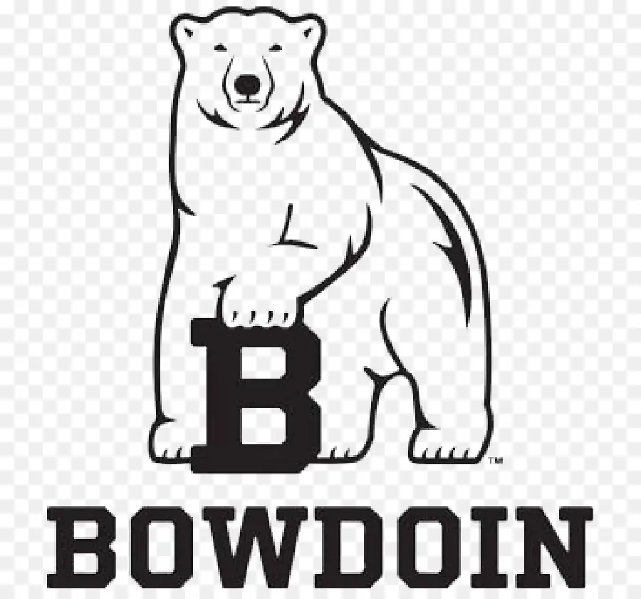 كلية بودوين，Bowdoin الدببة القطبية كرة القدم PNG