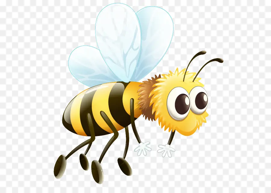 نحلة，نحلة العسل الغربي PNG
