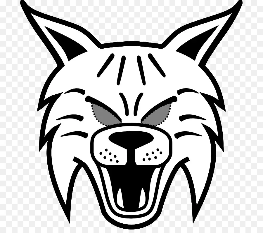 رأس البوبكات，Wildcat PNG