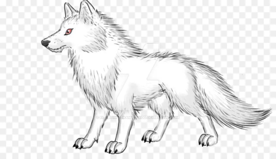 الكلب，ألاسكا التندرا الذئب PNG