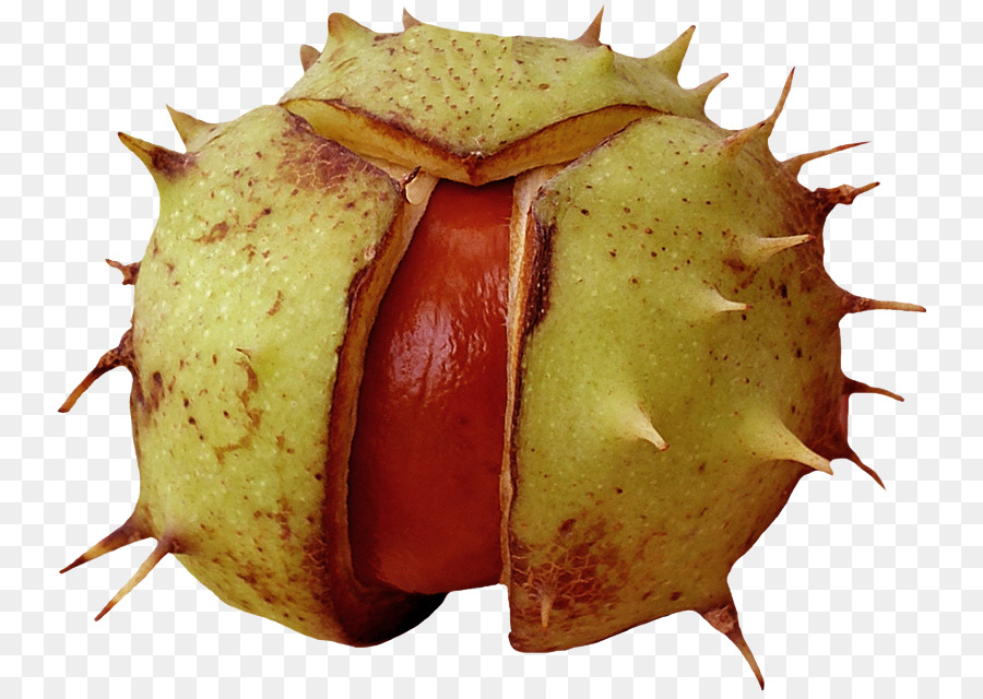 الفاكهة，الغذاء PNG