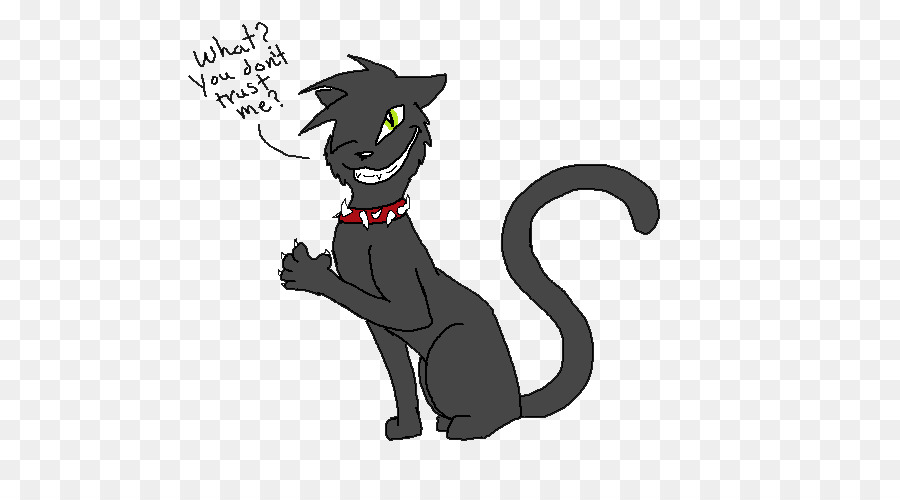 قط أسود，قطة PNG