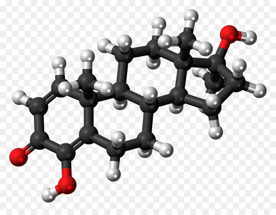 الكورتيزول，هرمون التستوستيرون PNG
