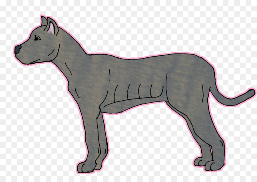 قصب كورسو，الكلب تولد PNG