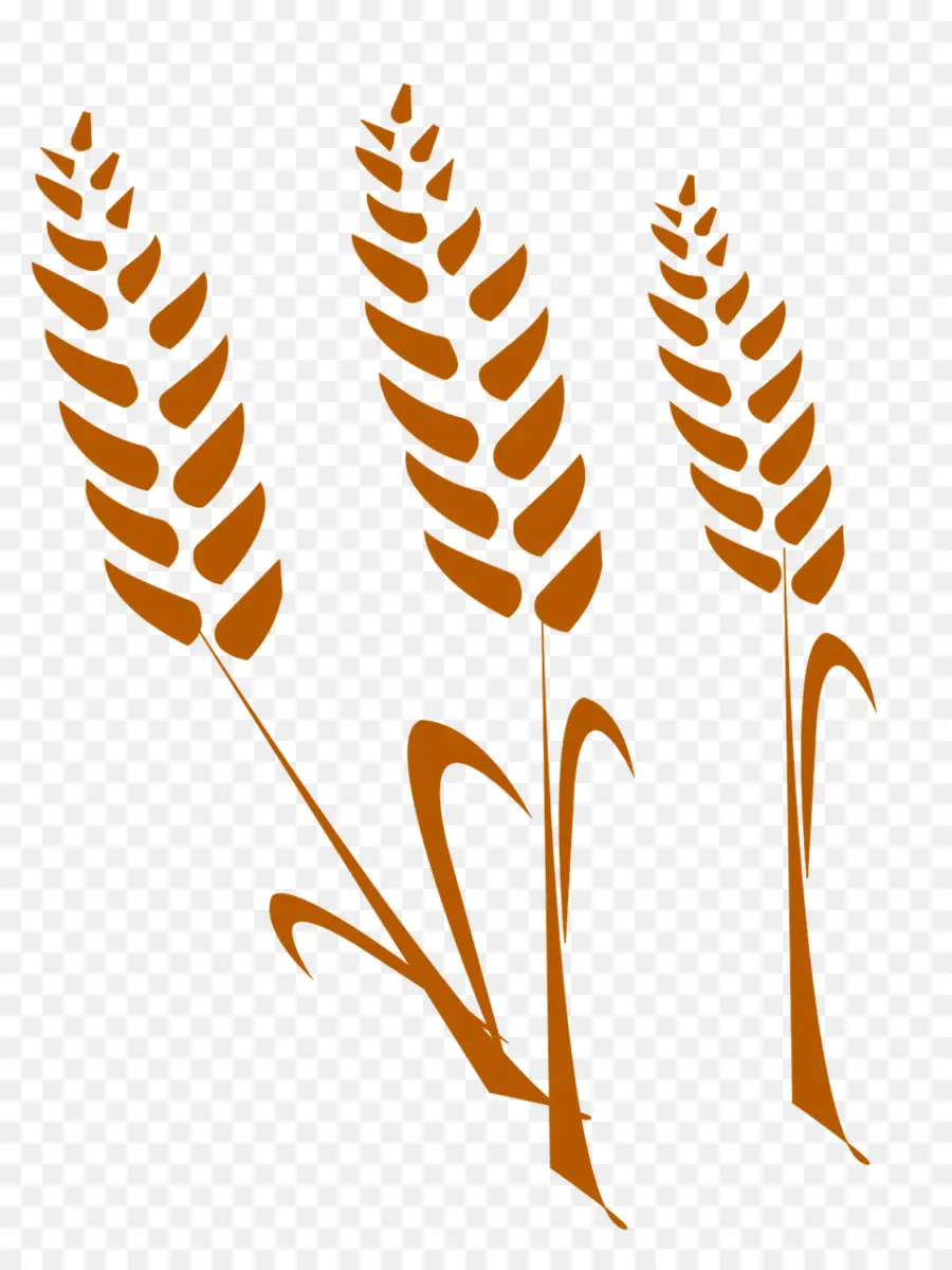 القمح，الحبوب PNG