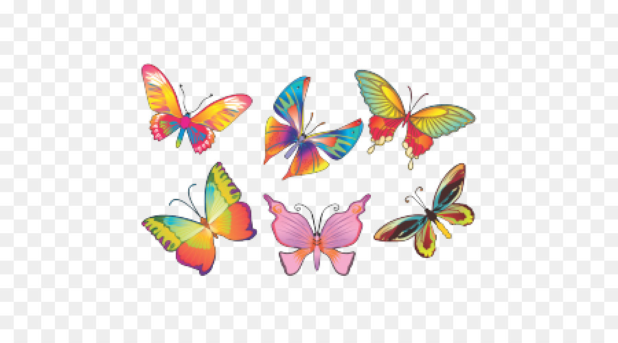 العاهل الفراشة，الرسم PNG
