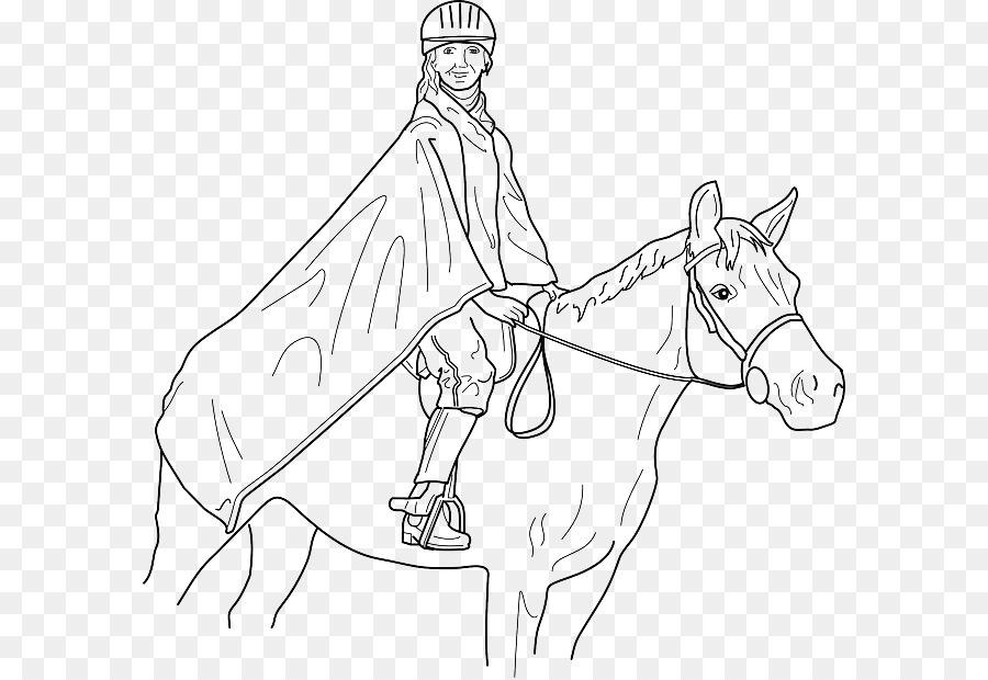 الفروسية，الحصان العربي PNG