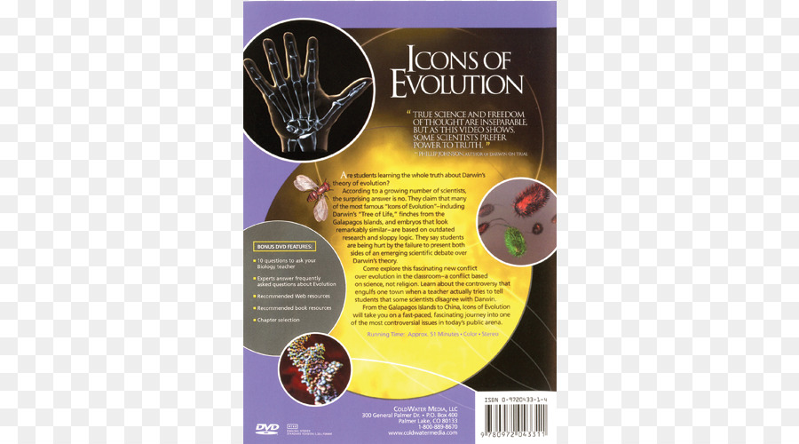 أيقونات التطور，الكتاب PNG