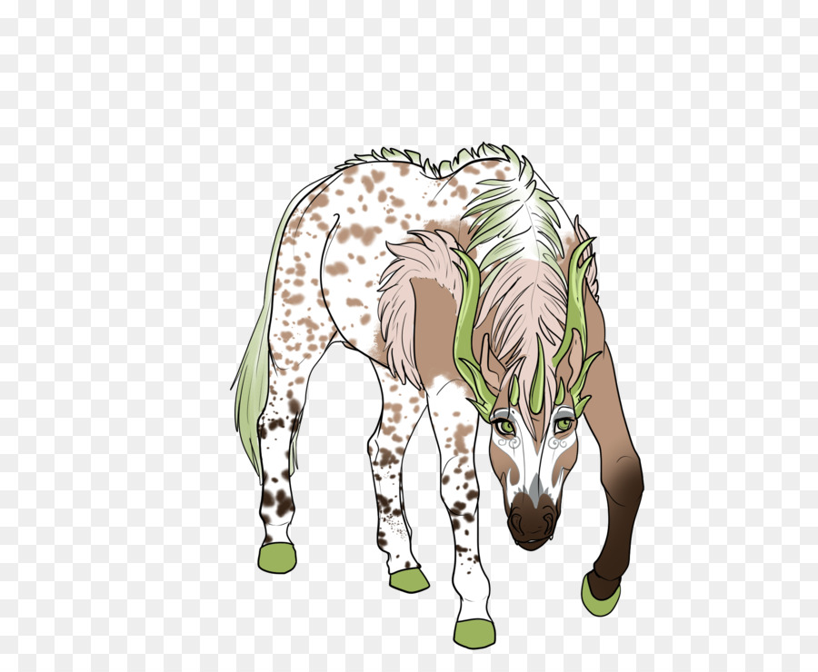 زرافة，حصان PNG
