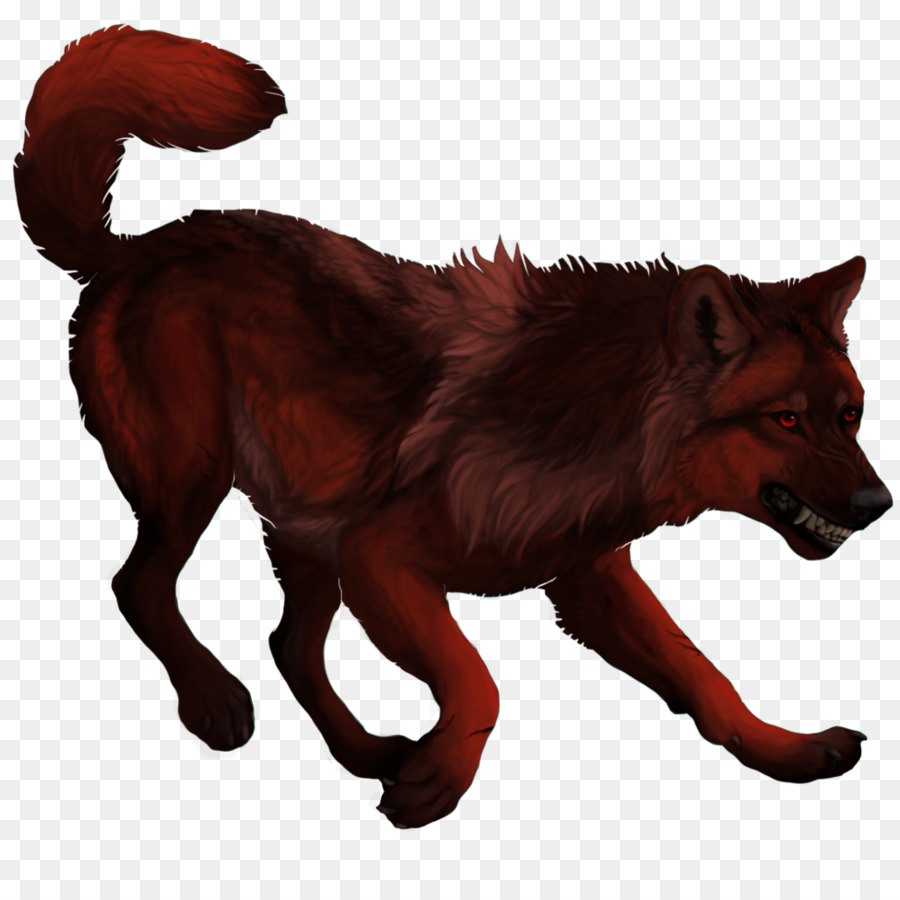الثعلب الأحمر，الكلب PNG