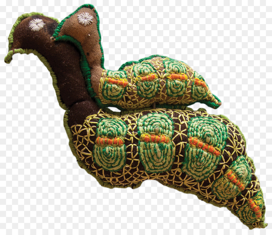 سلحفاء，السلاحف البركة PNG