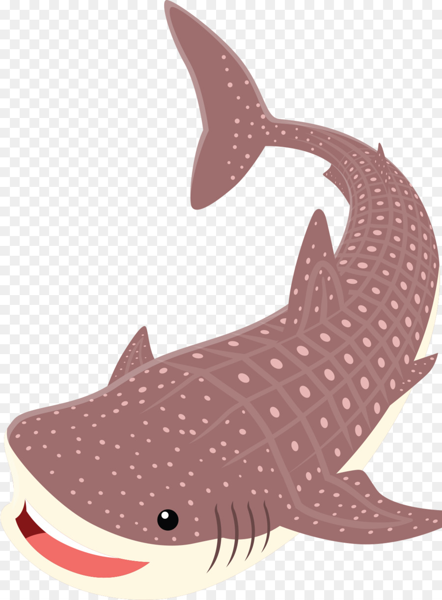 قرش النمر，القرش PNG