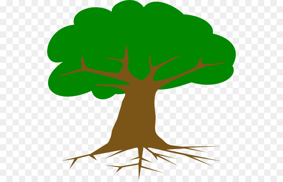 الجذر，شجرة PNG