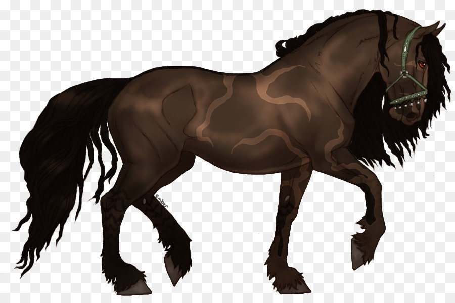 موستانج，الفريزيان الحصان PNG