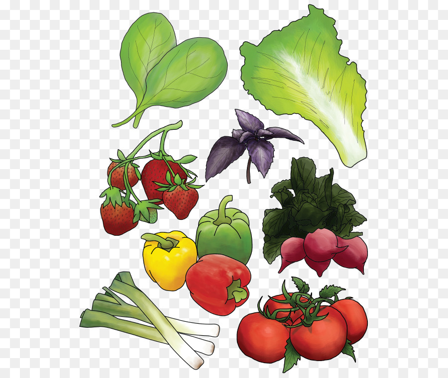 الأغذية العضوية，المأكولات النباتية PNG