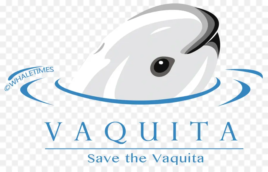 Vaquita，خنزير البحر PNG