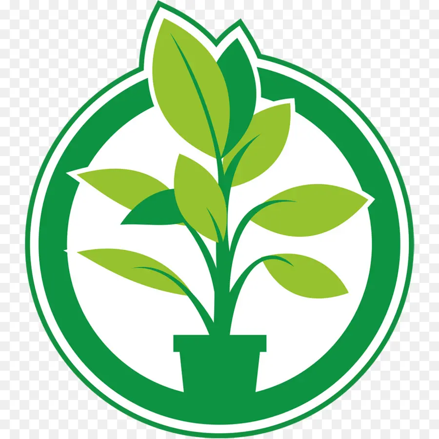 Plantjenl，النباتات PNG
