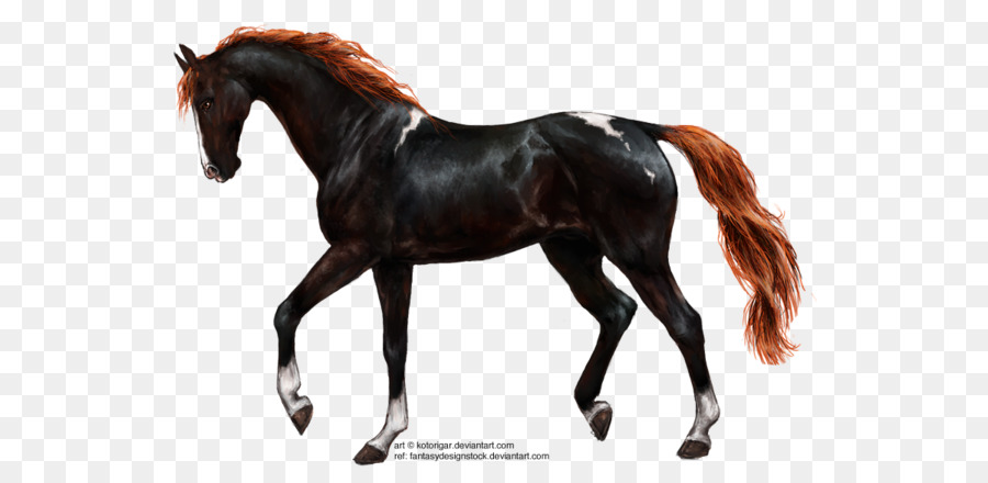 الحصان，ملصقا الوفير PNG