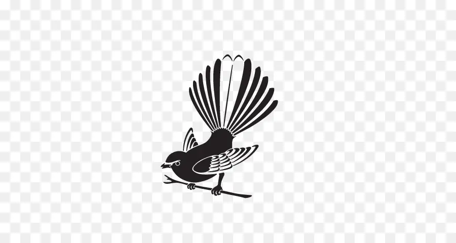 الطيور，نيوزيلندا هل هذه واضح PNG