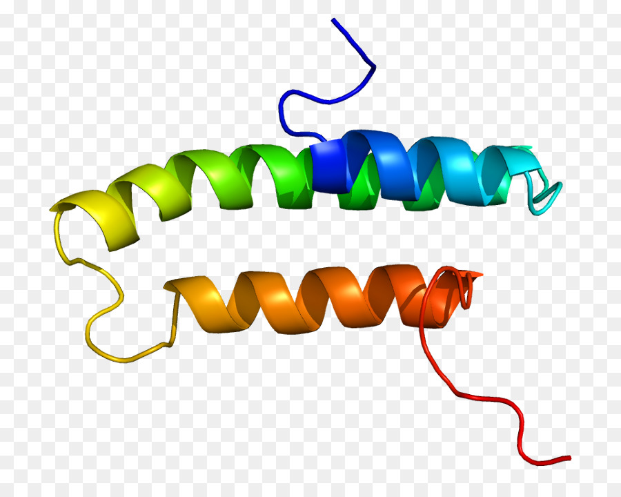 Ldlreceptorrelated Proteinassociated البروتين，مستقبلات Ldl PNG
