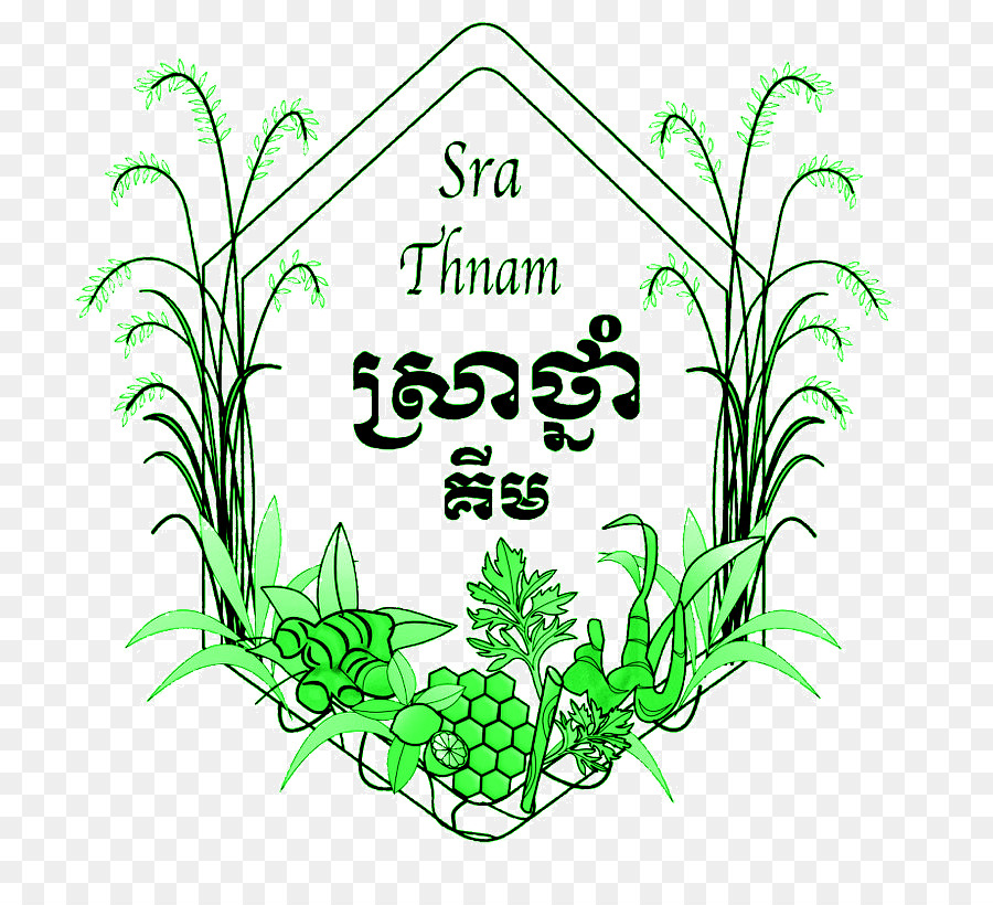 Sra Thnam البيت，الأعشاب PNG