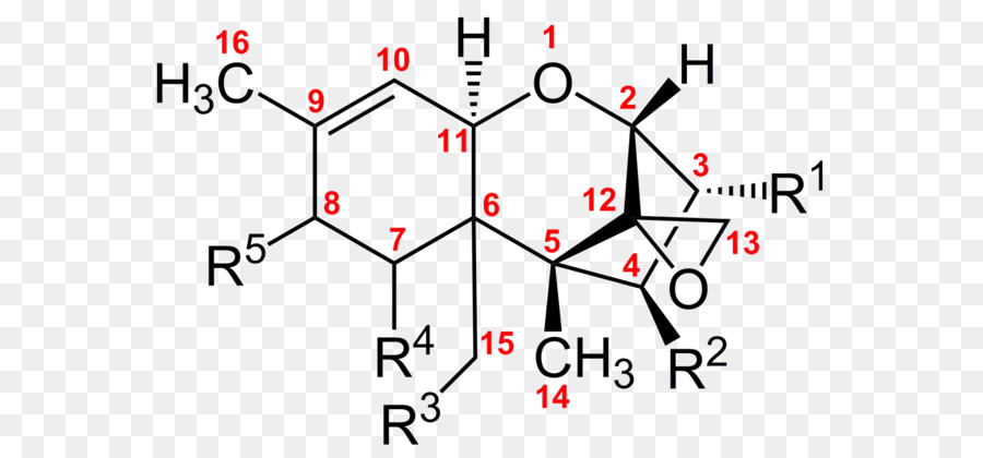 Trichothecene，ميكوتوكسين PNG