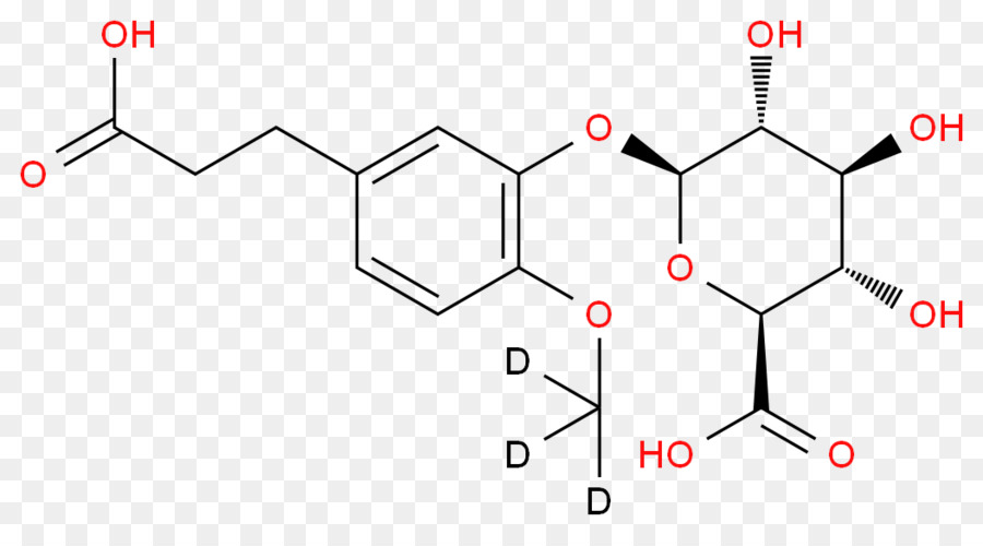 استر，الضوء PNG