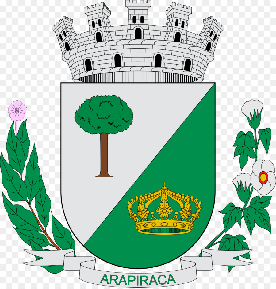 أرابيراكا，علم Arapiraca PNG