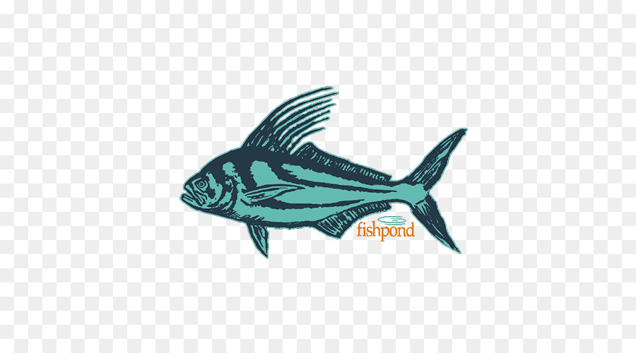 الأسماك，الثدييات البحرية PNG