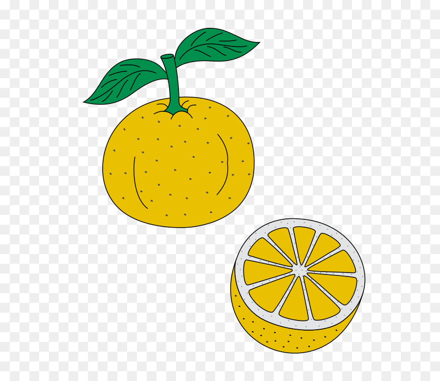 الليمون，ويكيبيديا PNG