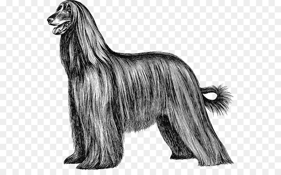 الهاوند，الاسكتلندي Deerhound PNG