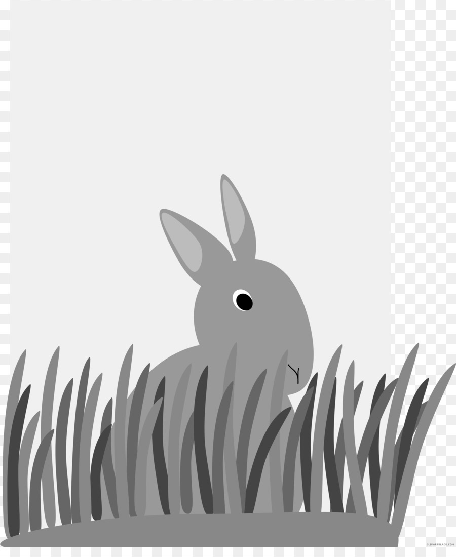 المحلية الأرنب，أرنب PNG