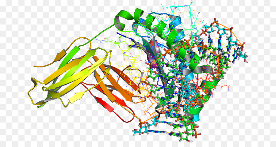 هيكل البروتين，جزيء PNG