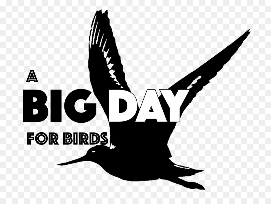الطيور，شعار PNG