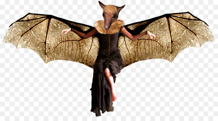 المخلوق الأسطوري，الخفافيش PNG