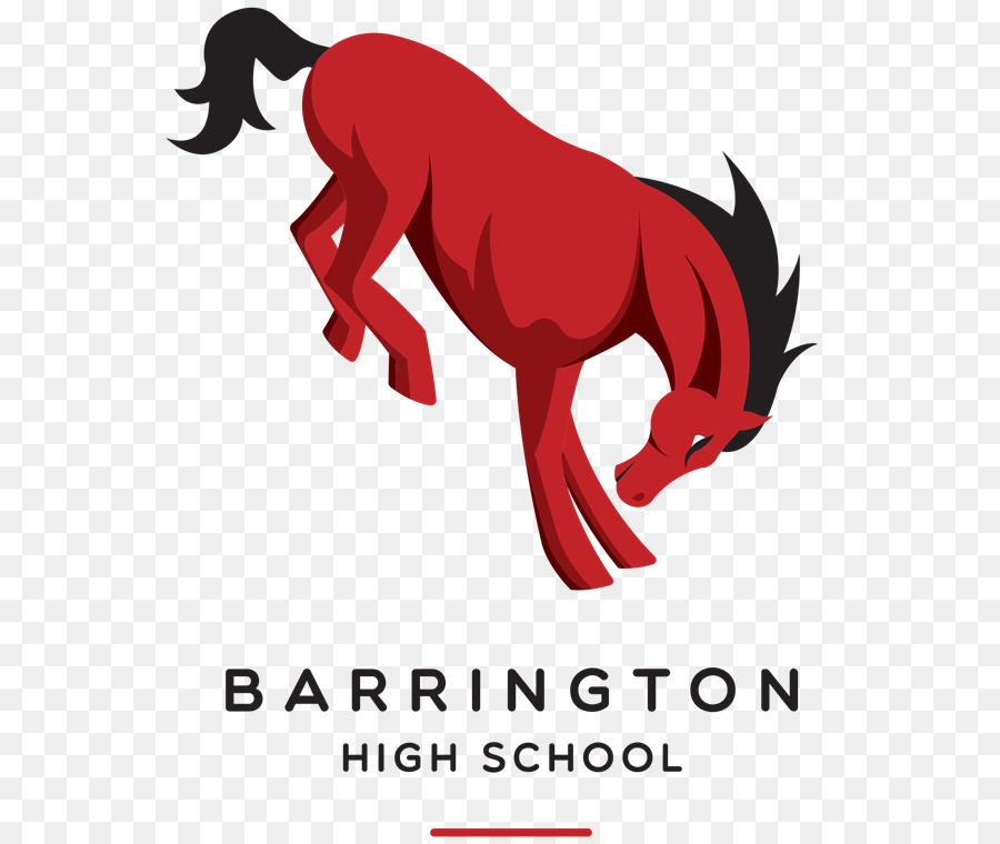 بارينغتون 220 مدرسة حي，بارينغتون الثانوية PNG