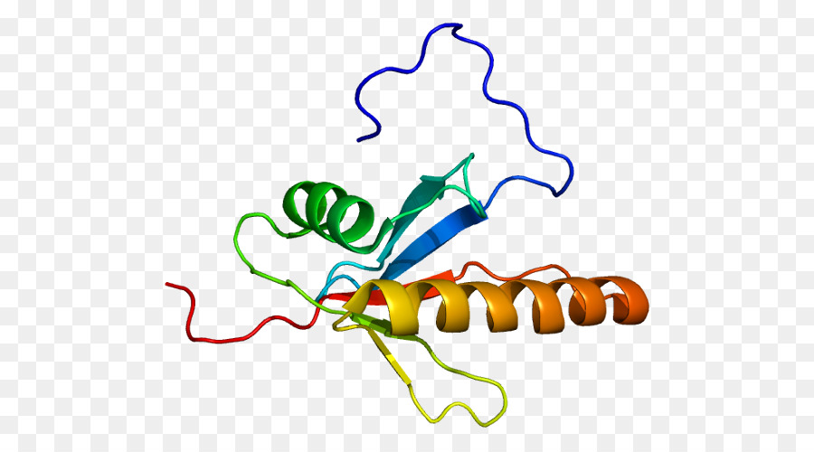 Map2k5，البروتين PNG