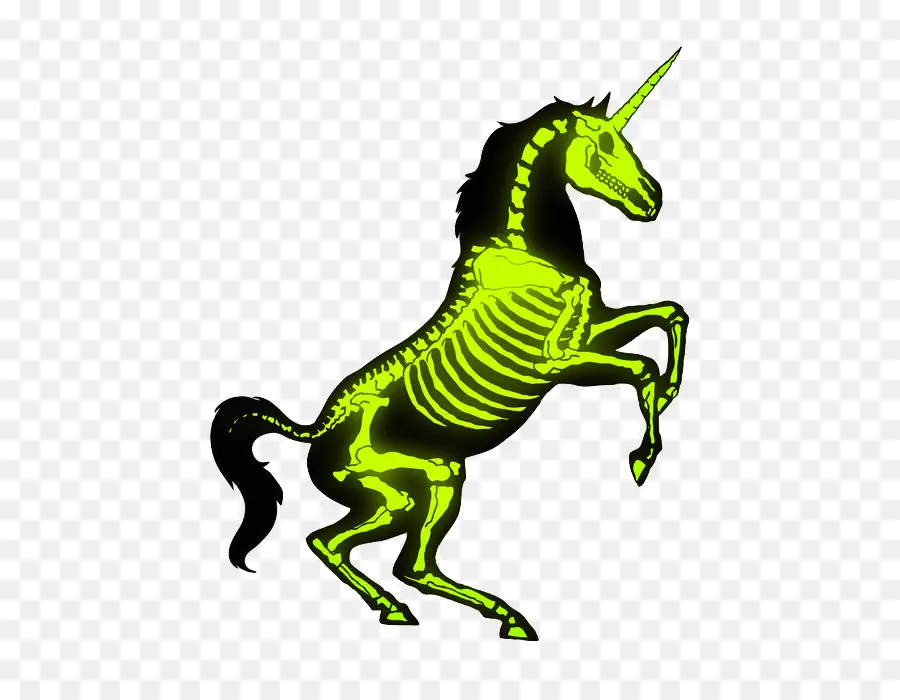 يونيكورن，الحصان PNG