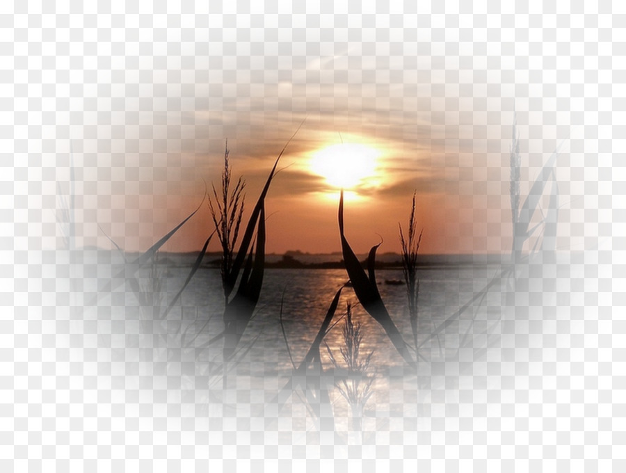 غروب الشمس，اللوحة PNG