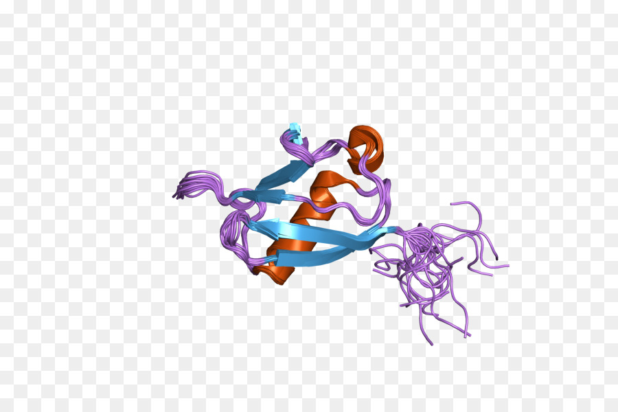 Ubl4a，البروتين PNG