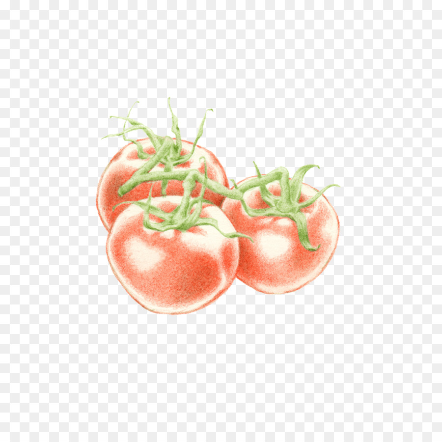 الطماطم，الغذاء PNG