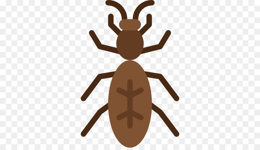 الحشرات，النمل PNG