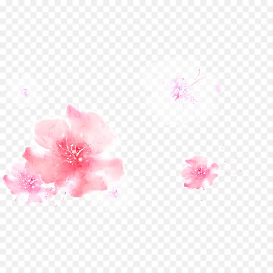 الوردي，خلفية سطح المكتب PNG