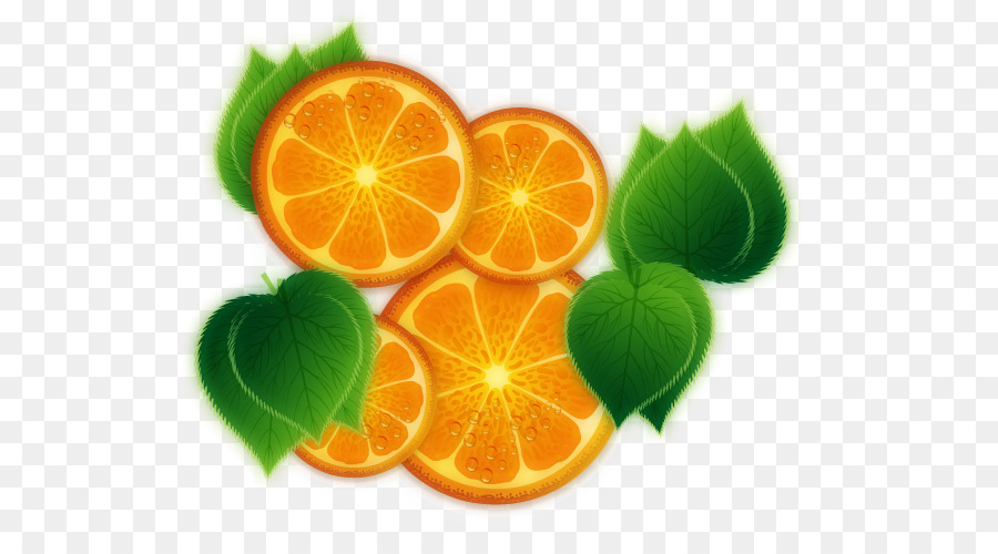 برتقال，الليمون PNG