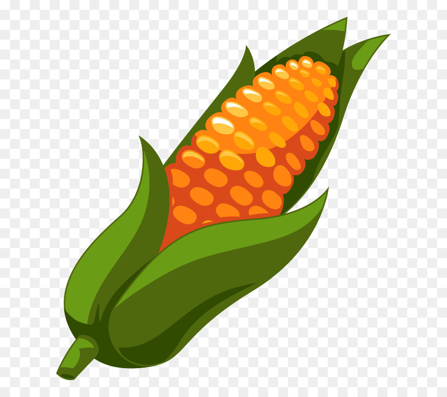 الذرة على ذكر الاوز, الذرة, الغذاء صورة بابوا نيو غينيا