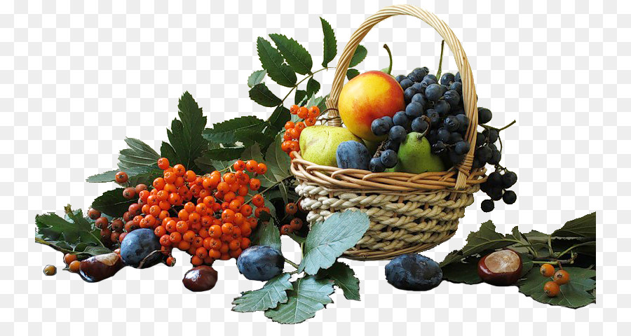 العنب，الفواكه والتوت PNG